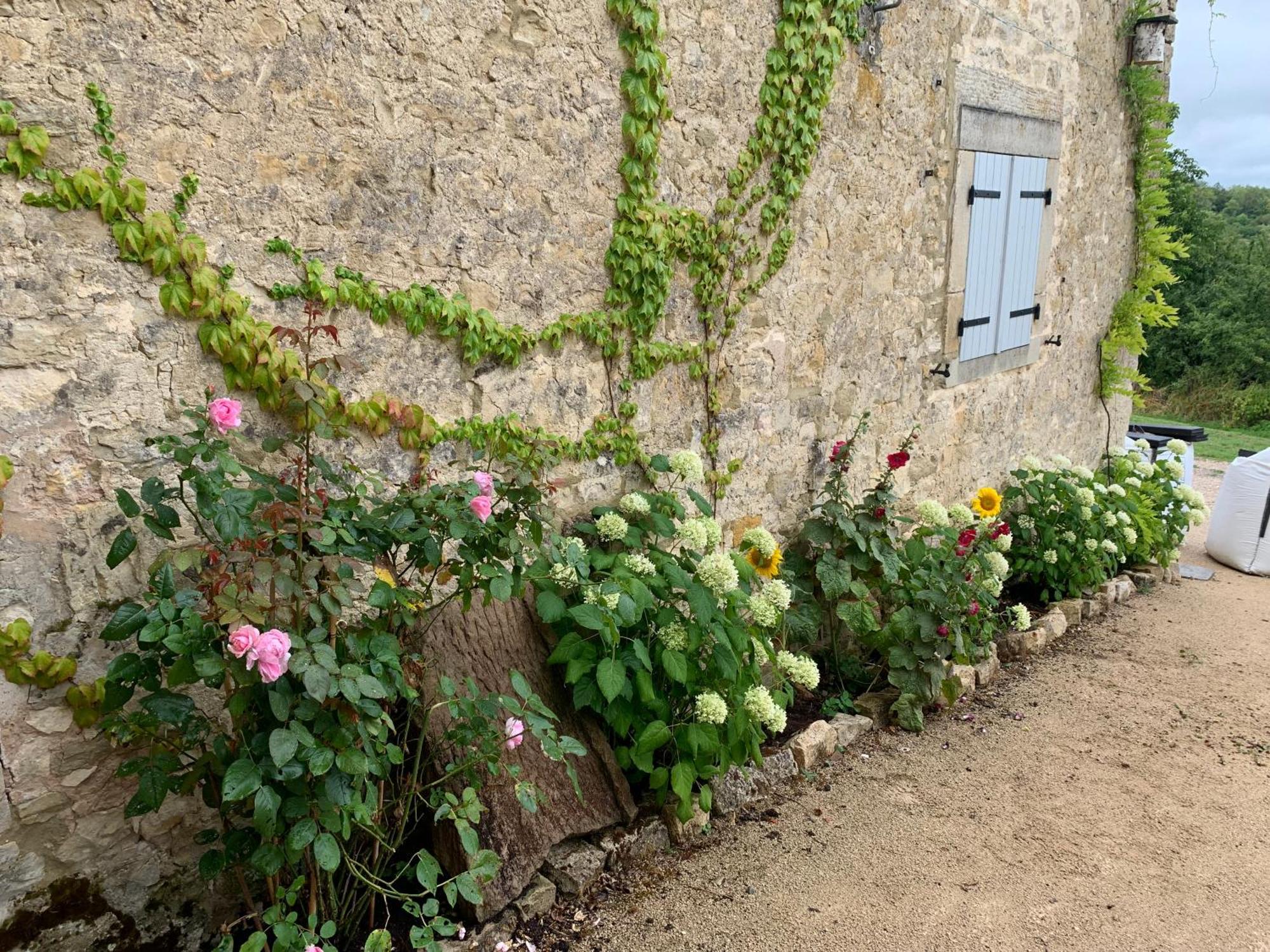 Maison Le Haut Fee Serecourt エクステリア 写真
